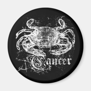 Zodiakarzinom Magnet