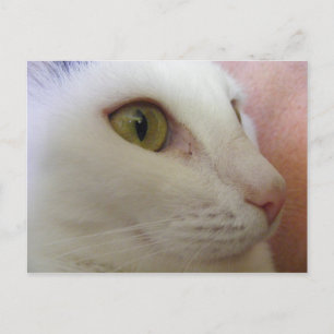 Zoe denkt. postkarte