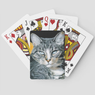 Zoe-Miezekatze-Kartensatz Spielkarten