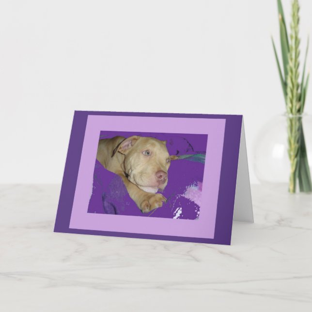 Zoe mit lila Grenzkarte Karte (Vorderseite)