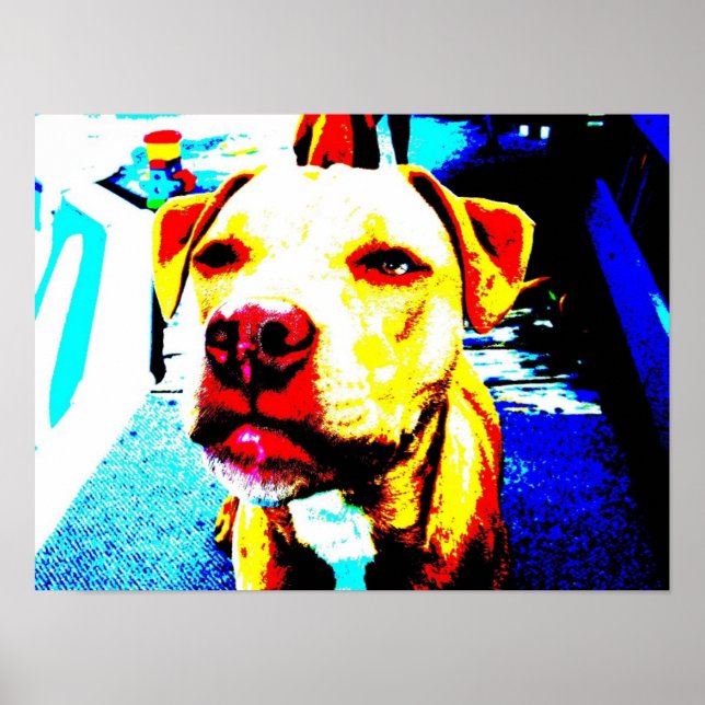 zoe posterized poster (Vorne)