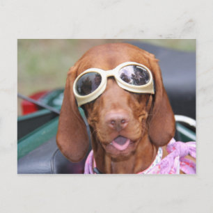 Zoe Ready to Ride Postkarte