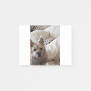 Zoe und Yoda Post-it Klebezettel