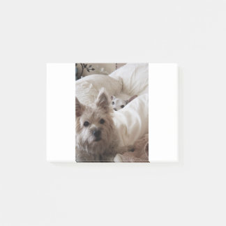 Zoe und Yoda Post-it Klebezettel