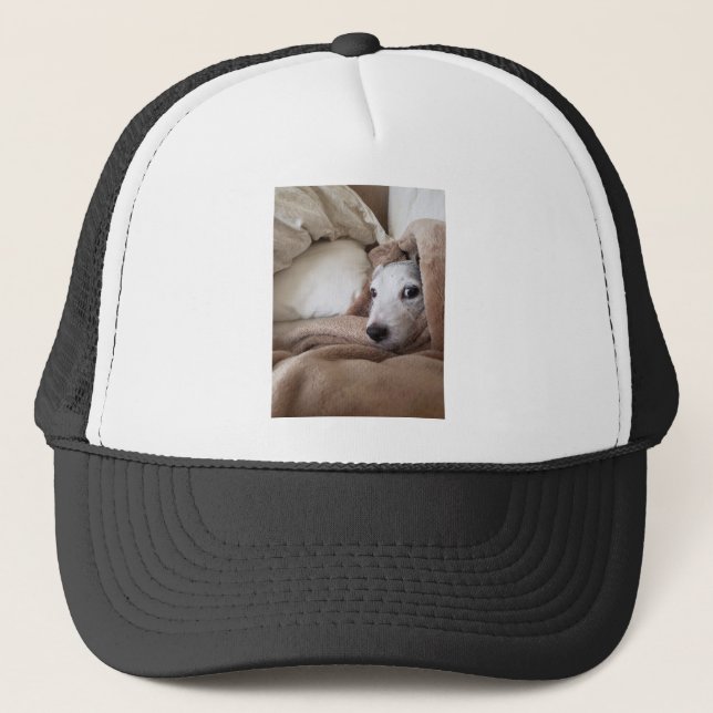 Zoe's Friend Yoda Jack Russell Terrier Truckerkappe (Vorderseite)