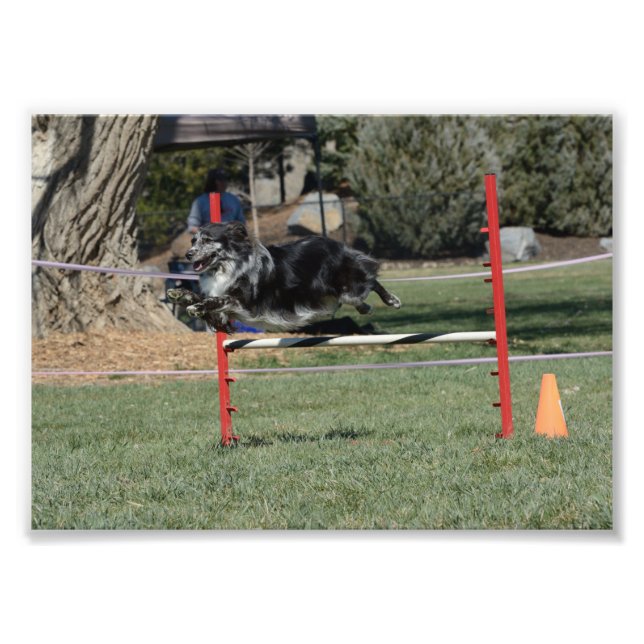 Zoey 1 fotodruck (Vorne)