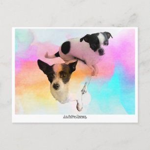 Zoey & Gracie Disco Leere Postkarte! Postkarte