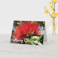 ZOLLBARE POHUTAKAWA XMAS KIWI CARD