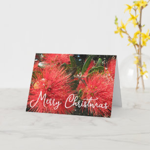 ZOLLBARE POHUTAKAWA XMAS KIWI CARD KARTE