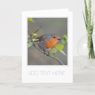 ZOLLKARTE "ROBIN REDBREAST" GREETKARTE KARTE