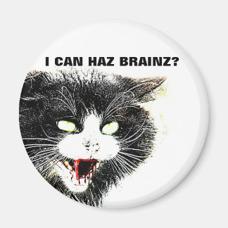 Zombie Chat I Can Haz Brainz Magnet