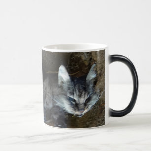 ZOMBIECAT IN MEINEM GETRÄNK! VERWANDLUNGSTASSE