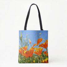 Zomers gevoel van wilde oranje bloemen.
