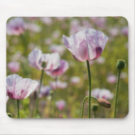 Zomers veld met  lila bloemen in bloei. mousepad