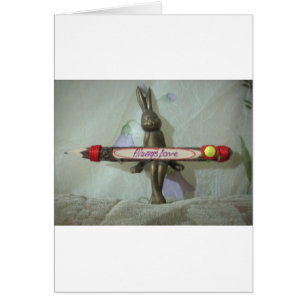 Zone de confort Hakuna Matata Always Love Cadfts p