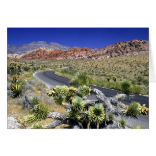 Zone nationale de conservation de Red Rock Canyon,