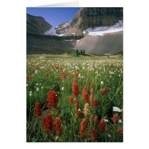 ZONE SAUVAGE DU MONT TIMPANOGOS, UT, É.-U.,