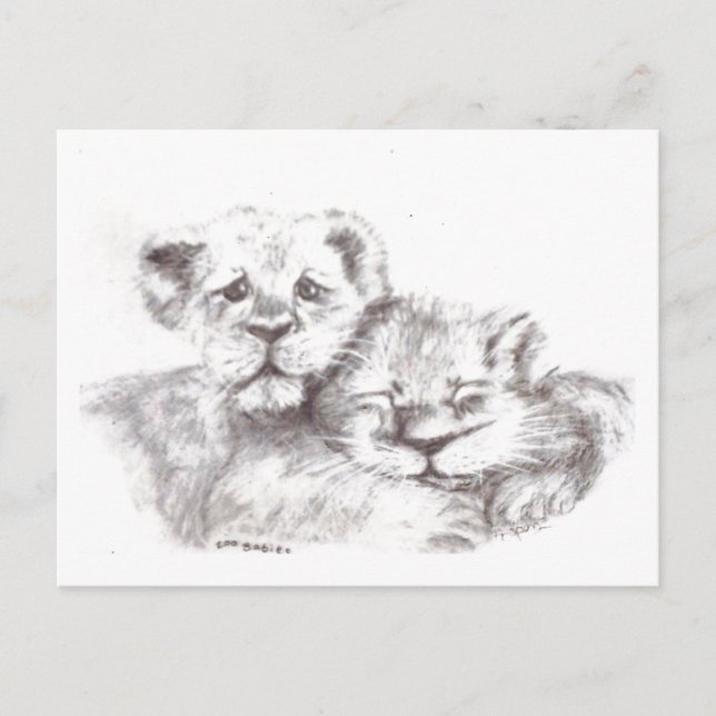 Zoo Babies Postcard Postkarte (Vorderseite)