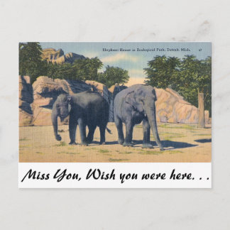 Zoo, Detroit, Michigan Postkarte