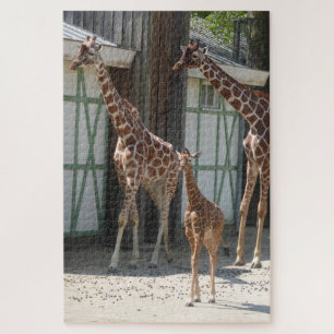 Zoo Puzzle : Giraffes avec bébé