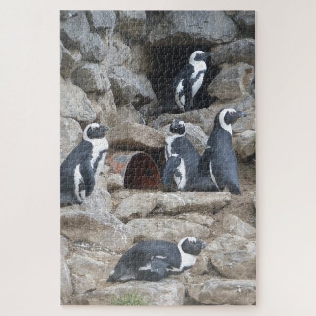 Zoo Puzzle: Niedliche Pinguine (Vertikal)