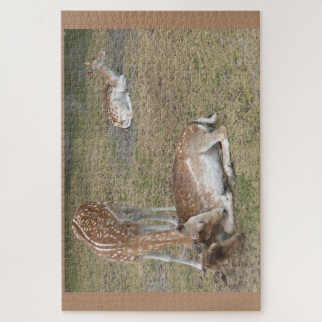 Zoo-Puzzle: Niedliches Hirsch (Vertikal)