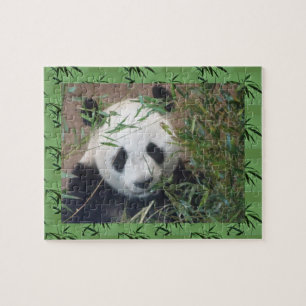 Zoo-Puzzle:Niedliches Panda