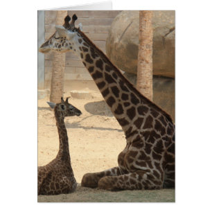 Zoo-Reihe, Baby-Giraffe und Mama