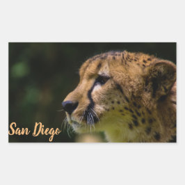 Zoo San Diego Rechteckiger Aufkleber