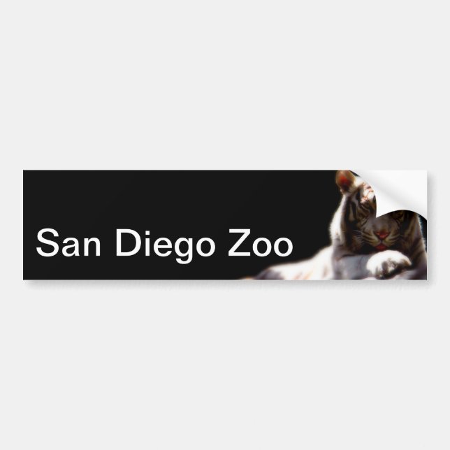 Zoo San Diego Tiger Autoaufkleber (Vorne)