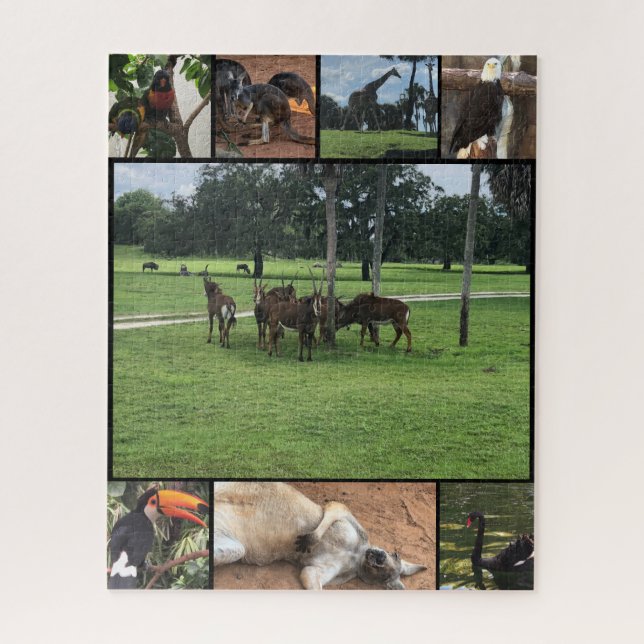 Zoo-Tage - Tier-Puzzle-Collage (Vertikal)