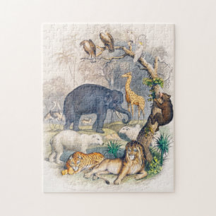 Zoo, Tier, niedlich, Tiere, Natur, Wildtiere