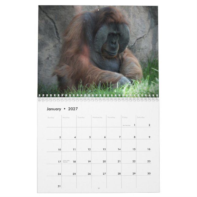 Zoo-Tier-Spaß Kalender (Jan 2027)