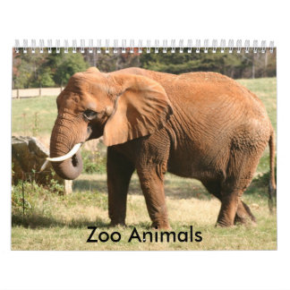 Zoo-Tiere Kalender