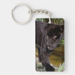 Zoo von Belize City. Schwarzer Panther Schlüsselanhänger