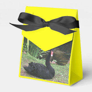 Zooliebe Geschenkschachtel