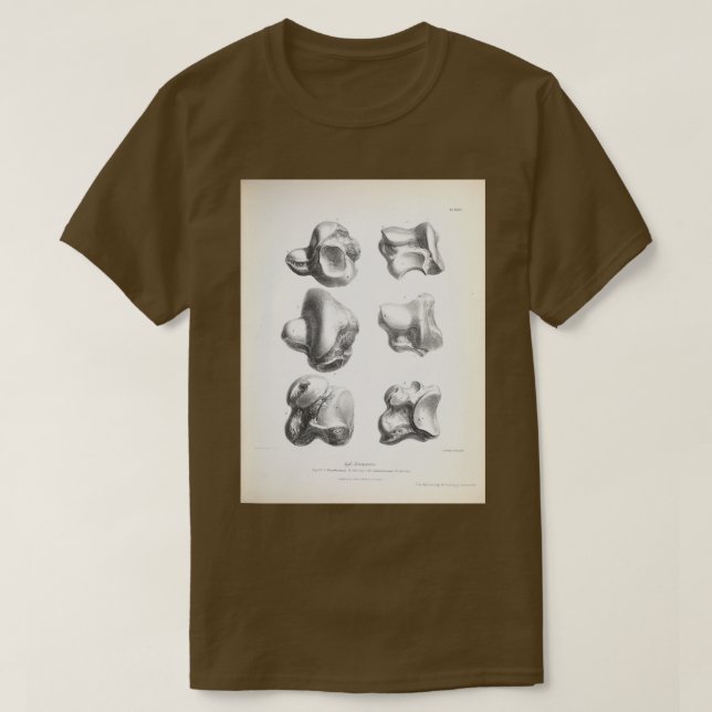 Zoologie des HMS-Beagle 1840 Fossi T-Shirt (Design vorne)