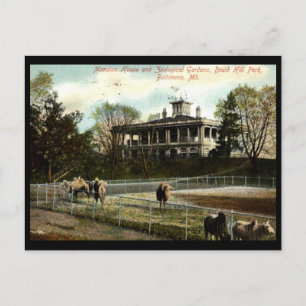 Zoologische Gärten, Druid Hill Park, Baltimore Vin Postkarte