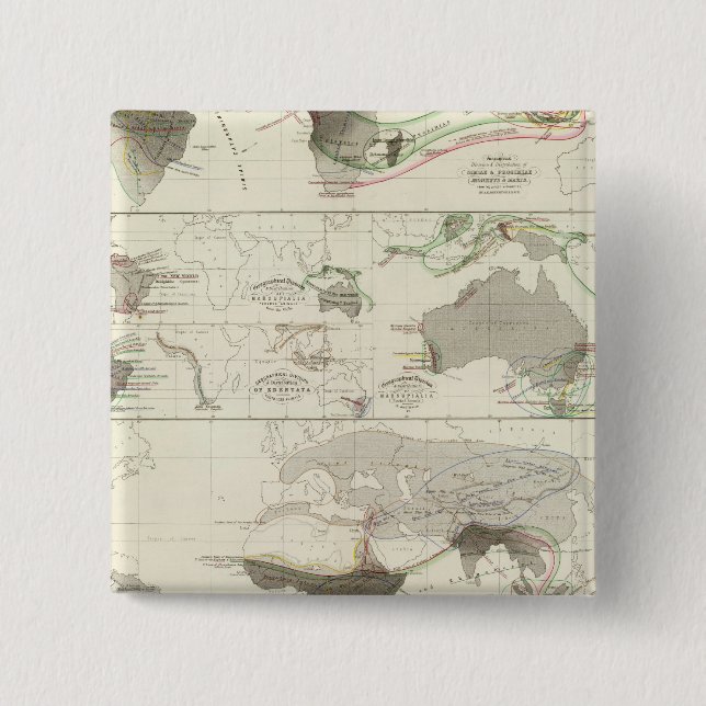 Zoologische Geografie Button (Vorderseite)