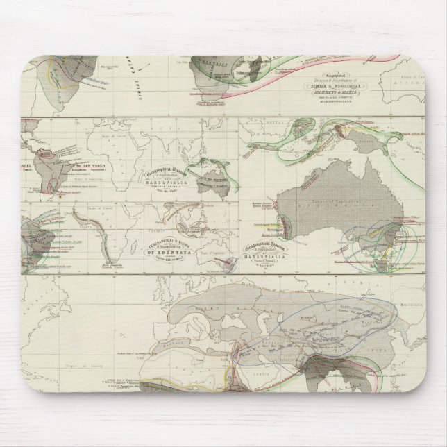 Zoologische Geografie Mousepad (Vorne)