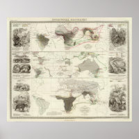 Zoologische Geografie