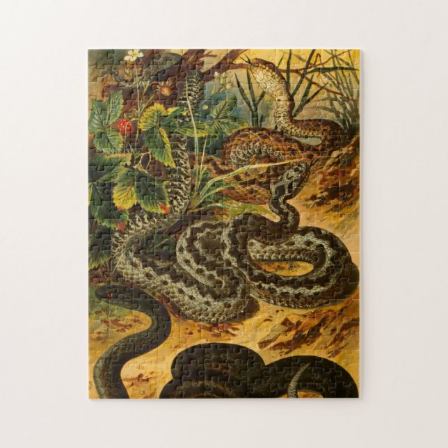 Zoom Croquis Vintage Snake Jigsaw Puzzle (Vertical)