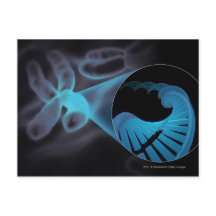 Zoomen eines DNA-Strangs in einem Chromosom