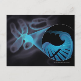 Zoomen eines DNA-Strangs in einem Chromosom Postkarte