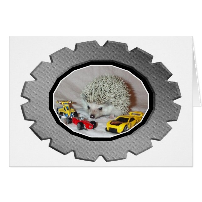 Zoomin' Hedgehog (Devant horizontal)