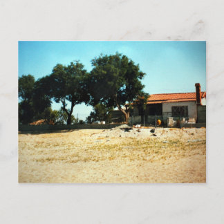 Zorba, die griechische Pause, Foto Colette Guggenh Postkarte