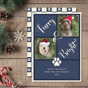 Zorn und helle Navy Blue Foto Collage Hund Feiertagskarte