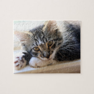 Zorro am Fensterpuzzle