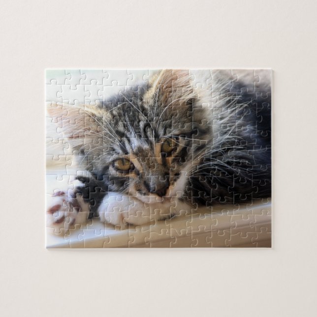 Zorro am Fensterpuzzle (Horizontal)