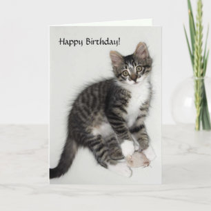 Zorro Happy Birthday Card Karte